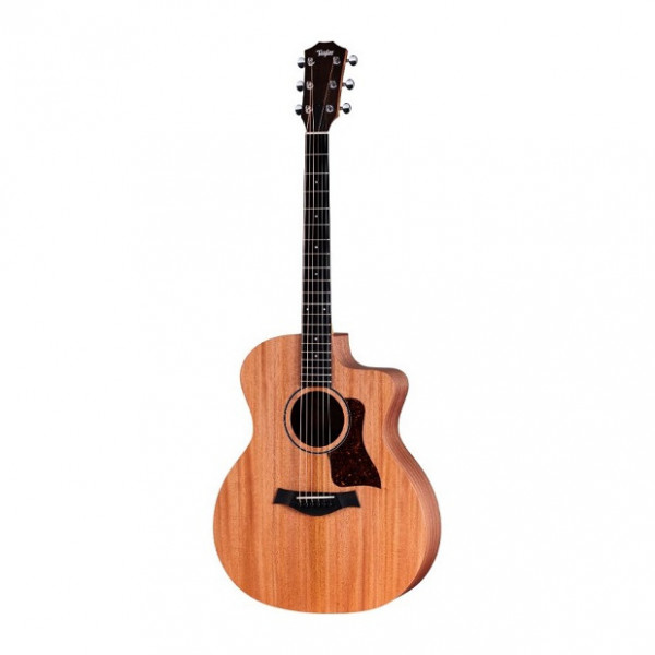 Taylor 24ce