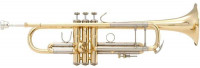 Bach 180 - 43G Stradivarius Goldmessing