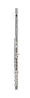 Powell Sonaré PS 505 CEF