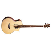 Baesse_Ortega-D7CE-4-Akustikbass_0