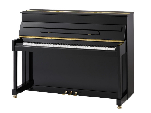 Ritmüller Comfort 110 EU Klavier