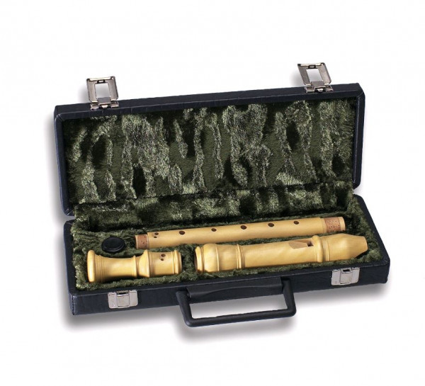 Mollenhauer 7102 Etui Altblockflöte