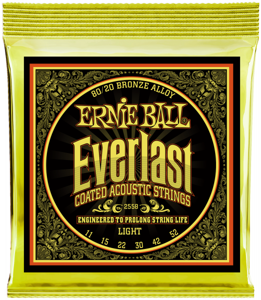 Ernie Ball EB 2558 Everlast Bronze Light