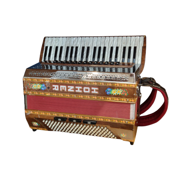 Hohner Alpina V 120 gebraucht