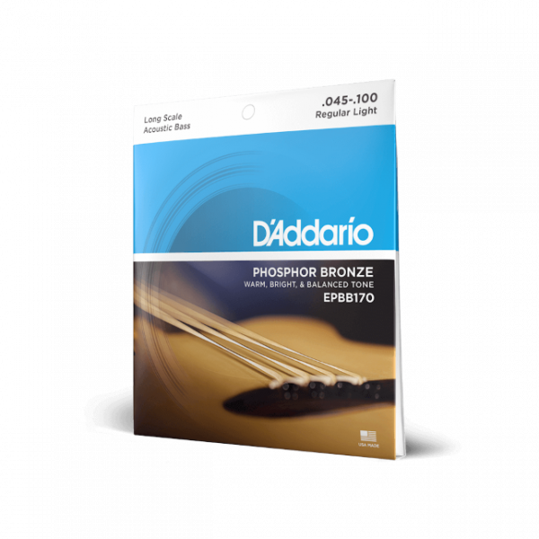 D'Addario EPBB170 für Akustik-Bass