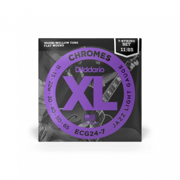 D'Addario ECG24-7 Chromes für 7-saitige E-Gitarre