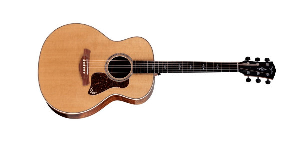 Westerngitarren_Taylor-814e-Gold-Label_0