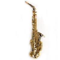Saxophone-Expression-Alt-Saxophon-2001614_1